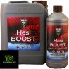 Hesi Boost