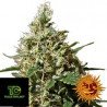 Peppermint Kush 5 semillas Barney´s Farm