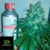 Auto Jack x Ak-47 Granel