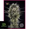 Llimonet Haze classique CDB