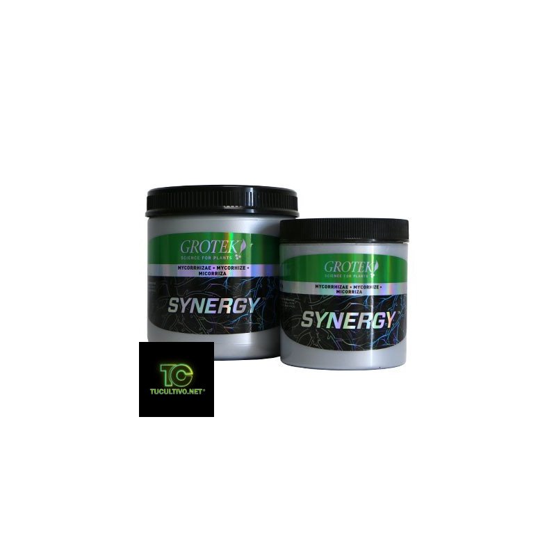 synergy organic well being