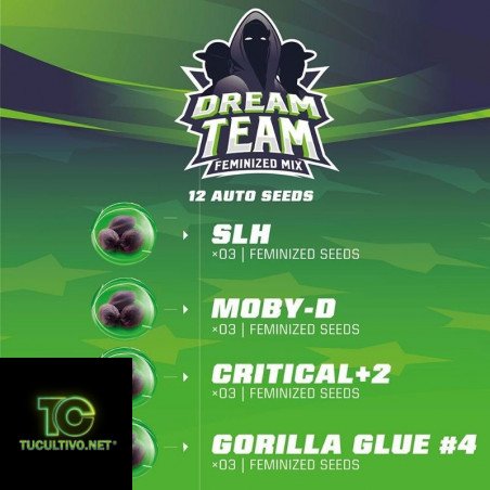 Dream Team Mix