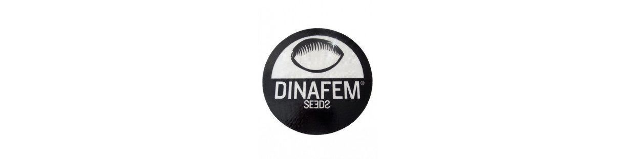 Dinafem Seeds - Feminized Cannabis Seeds