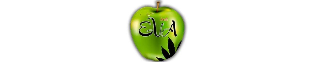 Eva Seeds Graines féminisées de saison pour culture du cannabis