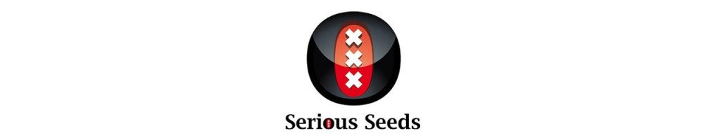 Graines Serious Seeds féminisées pour la culture du cannabis
