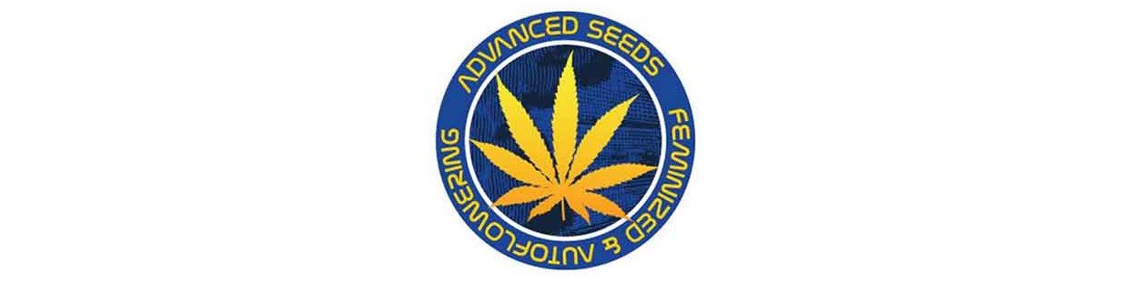Advanced Seeds Feminized Cannabis Strains