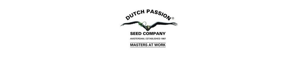 Semillas Dutch Passion Autoflorecientes