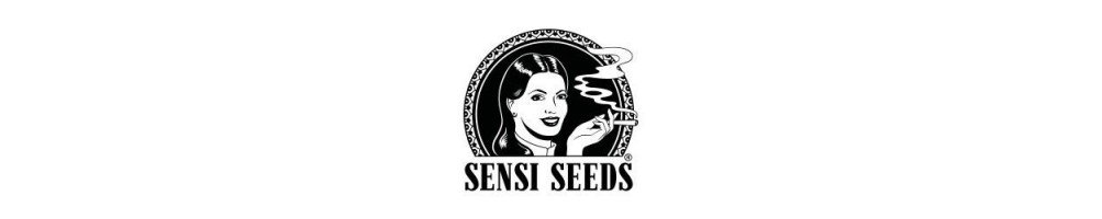 Graines Sensi Seeds au format régulier