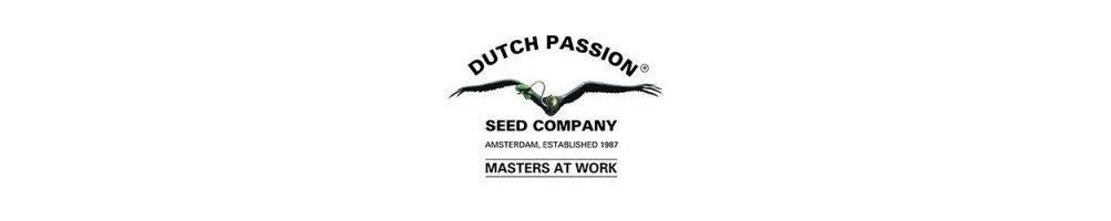 Dutch Passion Seeds Company au format régulier pour cannabis