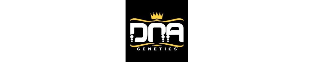 DNA Genetics Feminizadas de temporada