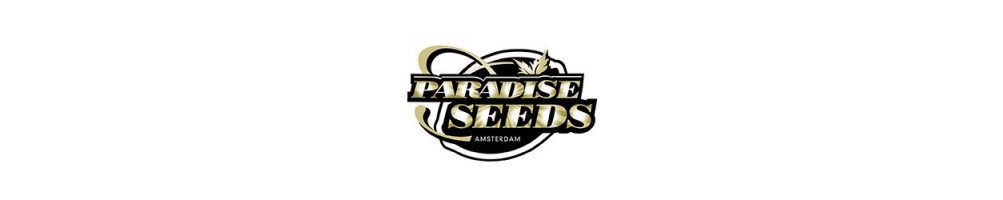 Graines Paradise Seeds automatiques pour culture du cannabis