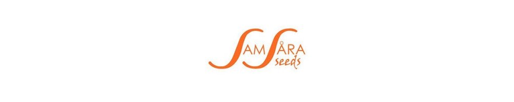 Graines féminisées Samsara Seeds pour culture du cannabis