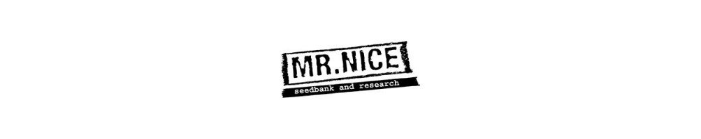 Semillas de marihuana Mr. Nice Seeds Regular