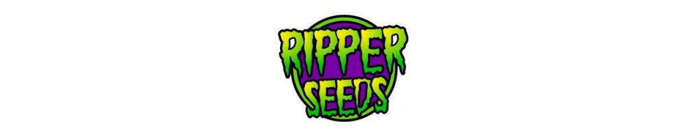 Semillas Feminizadas de Ripper Seeds