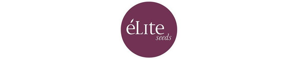 Élite Seeds Graines automatiques pour culture du cannabis