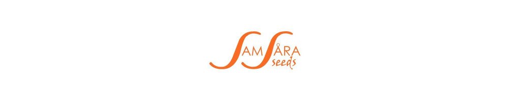 Samsara Seeds Auto - Autoflowering Seeds