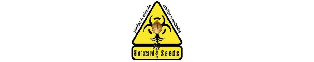 Graines Automatiques de BioHazard Seeds pour culture du cannabis