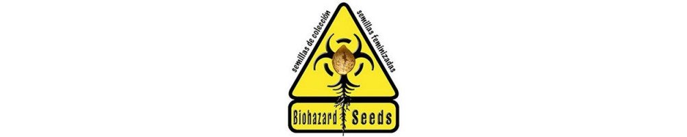 Biohazard Seeds variedades feminizadas