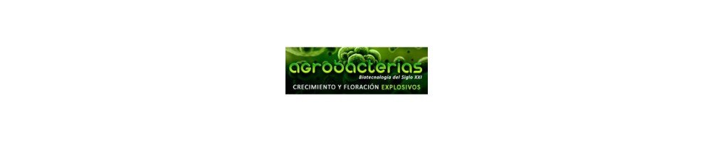 Agrobacterias, engrais pour culture organique