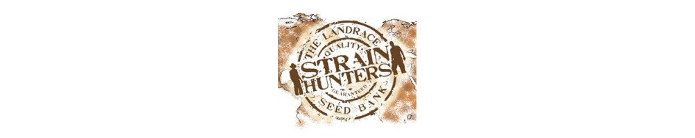 Strain Hunters SeedBank Feminized Seeds