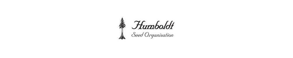 Humboldt Seed Organization Feminizadas