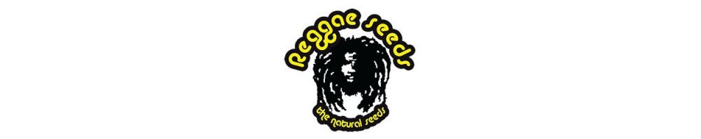 Reggae Seeds Banco de Semillas Regulares