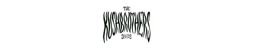 Graines The Kush Brothers féminisées pour culture cannabis
