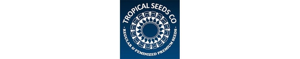 Graines Tropical Seeds Co. féminisées pour culture du cannabis
