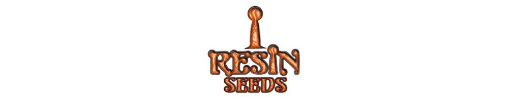 Graines Resine Seeds féminisées pour culture du cannabis