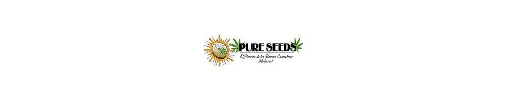 Pure Seeds autoflorecientes medicinales