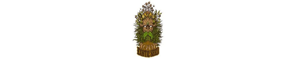 Exotic Seed banco de semillas de calidad