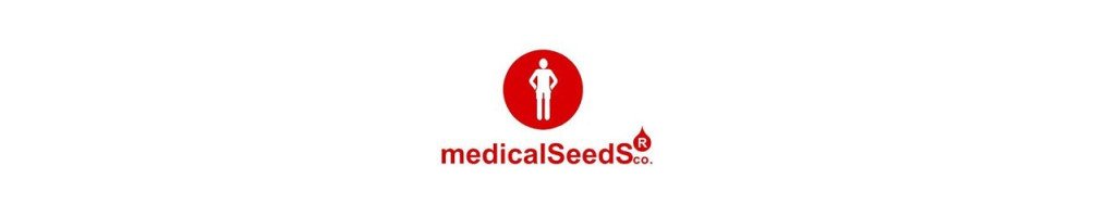 Medical Seeds auto-florissantes féminisées