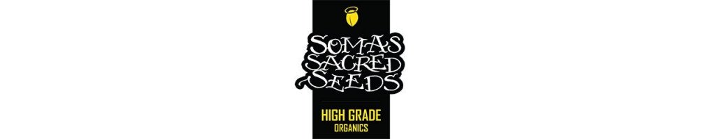 Soma Seeds banque de graines feminisées