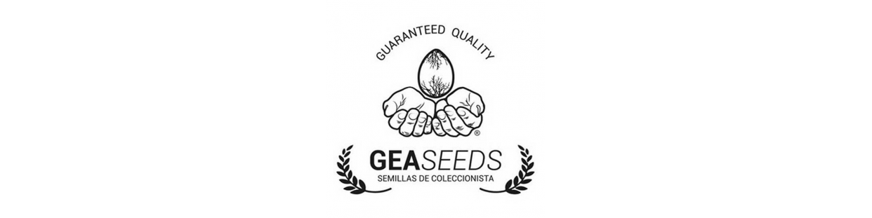 GeaSeeds